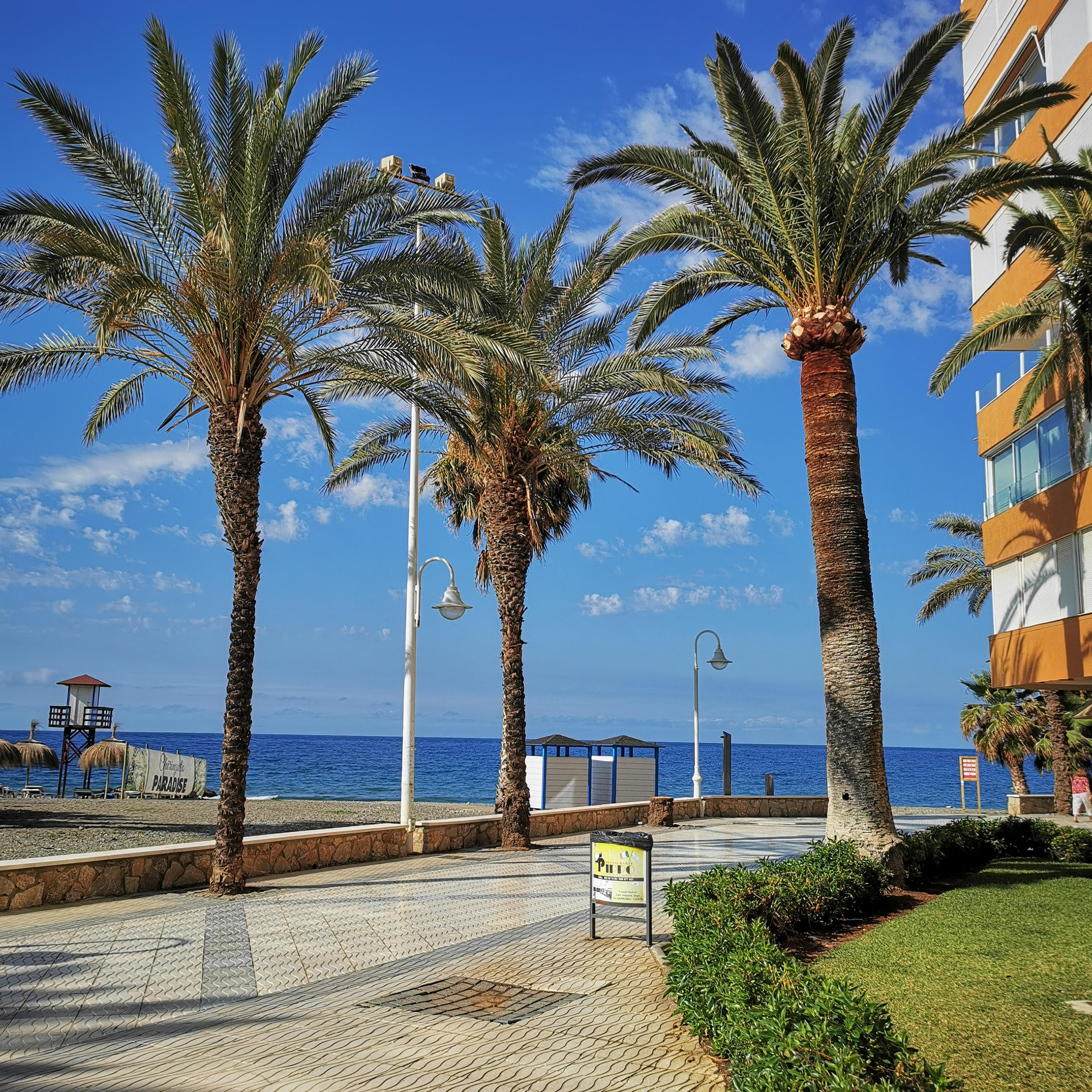 Widok Plaża Algarrobo Costa